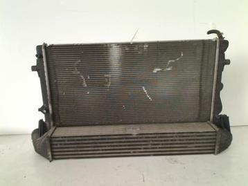 RADIATEUR Volkswagen Polo V (6R) (6R0145805F-6R0121253H) beschikbaar voor biedingen