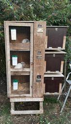 Konijnen/cavia flat, Ophalen, Gebruikt, 90 cm of meer, Hok