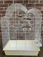 GROTE WITTE VOGELKOOI ELIZA MET SPEELTJES NU 50 EURO, Dieren en Toebehoren, Ophalen, Zo goed als nieuw, Overige materialen, Vogelkooi