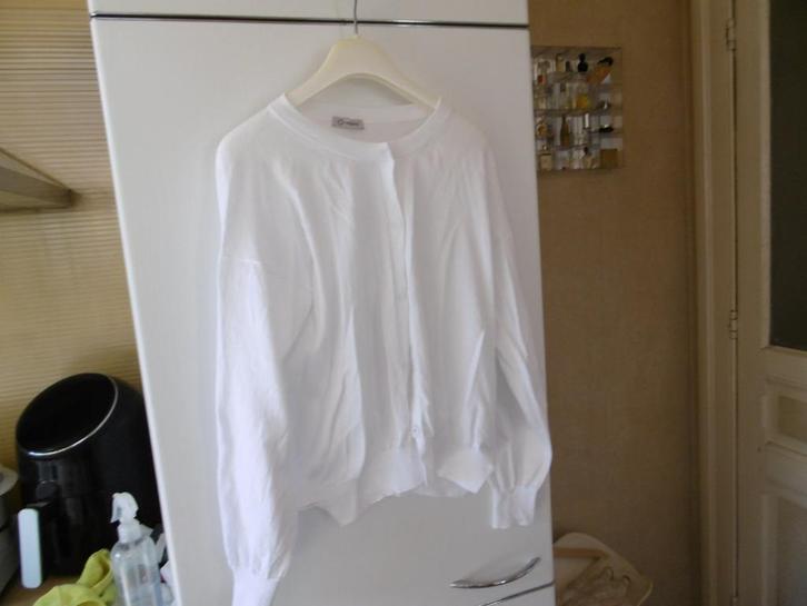 kledij dames trui wit "cappellini" 44, Kleding | Dames, Truien en Vesten, Zo goed als nieuw, Maat 42/44 (L), Wit, Ophalen of Verzenden