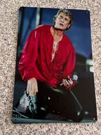 Plaque métallique JOHNNY HALLYDAY (30/20 cm), Collections, Enlèvement ou Envoi, Comme neuf