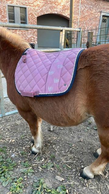 Dekje voor mini shetlander/shetlander, Dieren en Toebehoren, Ophalen of Verzenden, Gebruikt, Dekje