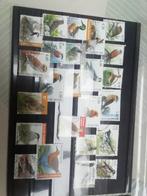 Postzegels België gestempeld Buzin, Ophalen of Verzenden