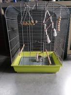 Vogelkooi met toebehoren te koop., Dieren en Toebehoren, Ophalen, Zo goed als nieuw, Vogelkooi