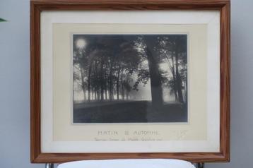 Grote zilveren foto Carlier Tournai Drève de Maire 1927 beschikbaar voor biedingen