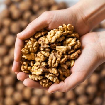 Walnoot 1€-kg beschikbaar voor biedingen