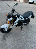 Honda msx 125, Motoren, Motoren | Honda, Particulier