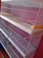 4 ijzeren kweek kooien 120x40 x 42, Animaux & Accessoires, Oiseaux | Oiseaux Autre