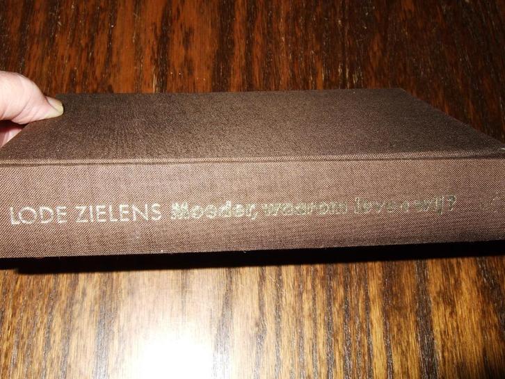LODE ZIELENS : MOEDER, WAAROM LEVEN WIJ, Boeken, Literatuur, Gelezen, Ophalen