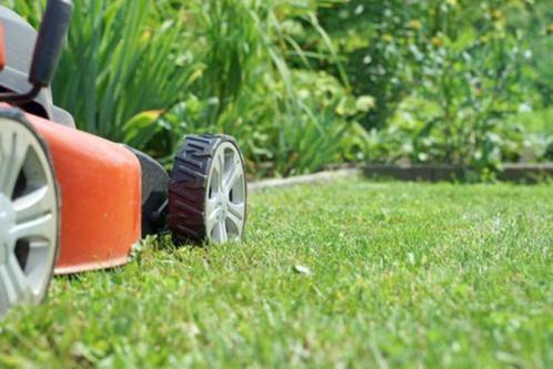 Tuinonderhoud aan scherpe prijzen, Jardin & Terrasse, Jardin & Terrasse Autre, Neuf, Enlèvement ou Envoi