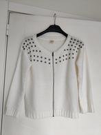 Nieuwe, gebreide vest ,maat :M, Kleding | Dames, American Outfitters, Ophalen of Verzenden, Nieuw, Maat 38/40 (M)