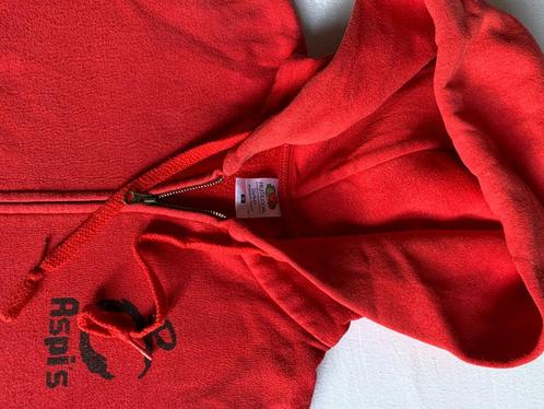 chirohoodie chirowimpel chiro-t-shirt chirotekens Jomego, Kinderen en Baby's, Kinderkleding | Maat 170, Ophalen