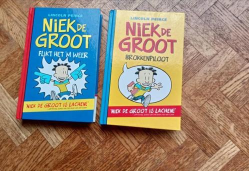 Niek de Groot 2 titels, Boeken, Kinderboeken | Jeugd | onder 10 jaar, Gelezen, Ophalen of Verzenden