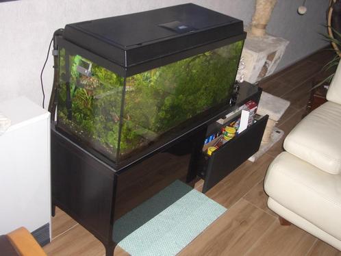 Aquarium JUWEL Primo, Animaux & Accessoires, Poissons | Aquariums & Accessoires, Utilisé, Aquarium d'eau douce rempli, Enlèvement