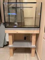 Gloednieuw aquarium 60x40x30 met thermostaat (en meubel), Dieren en Toebehoren, Vissen | Aquaria en Toebehoren, Ophalen, Zo goed als nieuw