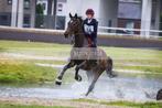 Veelbelovende 4-jarige ruin voor de sport, B, Hongre, Vermifugé, Cheval de saut