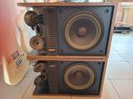 Set van 2 Bose 301 Series II - Iconische Vintage Speakers, Audio, Tv en Foto, Ophalen, Gebruikt, 60 tot 120 watt, Bose