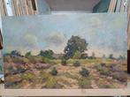 Landschap schilderijen 40 X 24 M. Van Den Bempt, Enlèvement ou Envoi
