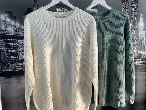 NIEUW - 2 prachtige truien wit groen - maat 46/48, Kleding | Dames, Truien en Vesten, Nieuw, Maat 46/48 (XL) of groter, Wit, Verzenden