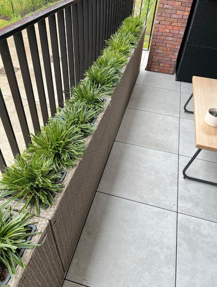 Jardinières à peine utilisées, 4 pièces disponibles ! ! !, Jardin & Terrasse, Bacs à fleurs & Jardinières, Comme neuf, Autres matériaux