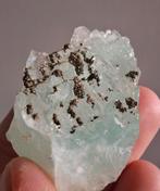 Fluoriet met pyriet - Illinois, VS (UV-actief), Enlèvement ou Envoi