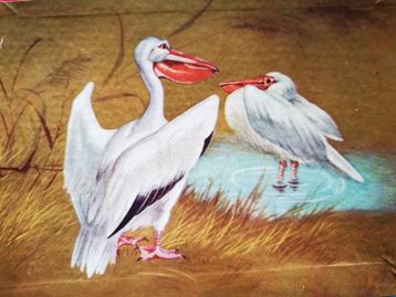 Houten 60's pelikanen puzzeltje  beschikbaar voor biedingen