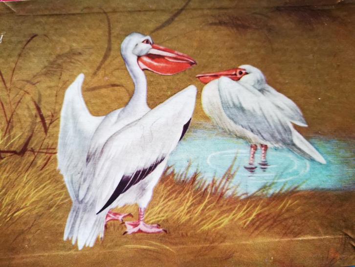 Houten 60's pelikanen puzzeltje, Antiek en Kunst, Antiek | Speelgoed, Ophalen of Verzenden