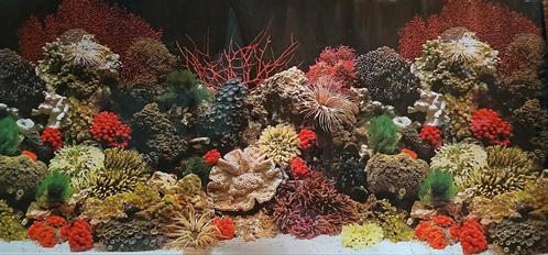 Achterwand aquarium, Dieren en Toebehoren, Vissen | Aquaria en Toebehoren, Zo goed als nieuw, Ophalen of Verzenden