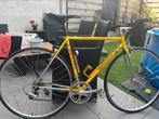 Bercinni retrofiets, Gebruikt, 10 tot 15 versnellingen, Heren, Ophalen