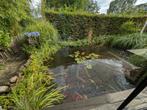 Grote vijver met koi's , goudvissen en toebehoren., Tuin en Terras, Vijver-toebehoren, Ophalen, Gebruikt, Vijverfilter