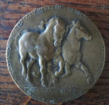 Médaille Amélioration de l'espèce chevaline Namur 1828-1929