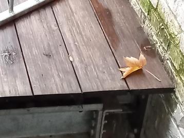 Bamboe terrasplanken walnootkleur nieuw beschikbaar voor biedingen