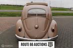 Volkswagen Kever 1957 | Route 66 auctions, Bruin, Volkswagen, Bedrijf, Handgeschakeld