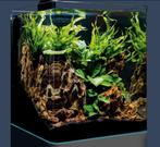 Aquarium Complete Aqua Della nano Cuba 30 Liter, Dieren en Toebehoren, Ophalen, Zo goed als nieuw, Overige typen