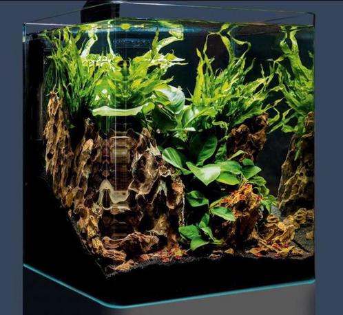 Aquarium Complete Aqua Della nano Cuba 30 Liter, Dieren en Toebehoren, Vissen | Aquaria en Toebehoren, Zo goed als nieuw, Overige typen