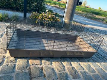 groot hok voor konijnen of cavia’s beschikbaar voor biedingen
