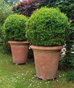 Italiaanse Terracotta tuin potten, winterhard, Terracotta, Rond, Gebruikt, 40 cm of meer