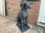 Engelse Jachthond, Pointer,Weimaraner, Tuin en Terras, Tuinbeelden, Ophalen, Nieuw, Beton, Dierenbeeld