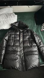 Veste paragoose (M), Kleding | Heren, Jassen | Winter, Maat 48/50 (M), Nieuw, Ophalen of Verzenden, Paragoose