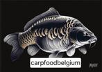 Carpbaites boilies verpakt per 5kg 10euro korting vanaf 20kg, Watersport en Boten, Verzenden
