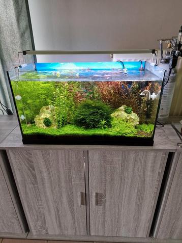 Compleet aquarium met kast beschikbaar voor biedingen