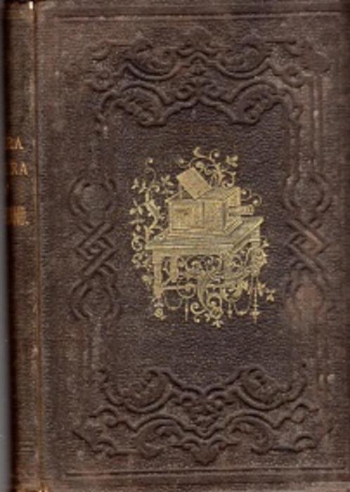 camera obscura hildebrand nicolaas beets 13e druk 1880, Livres, Littérature, Utilisé, Pays-Bas, Envoi