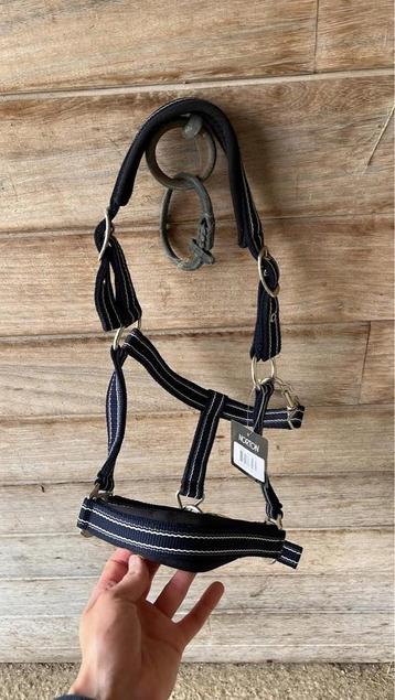 Halster pony nieuw beschikbaar voor biedingen
