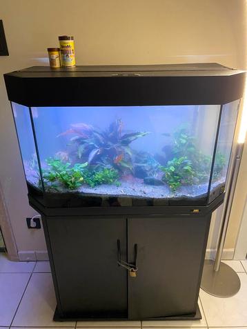 Aquarium met alle toebehoren beschikbaar voor biedingen
