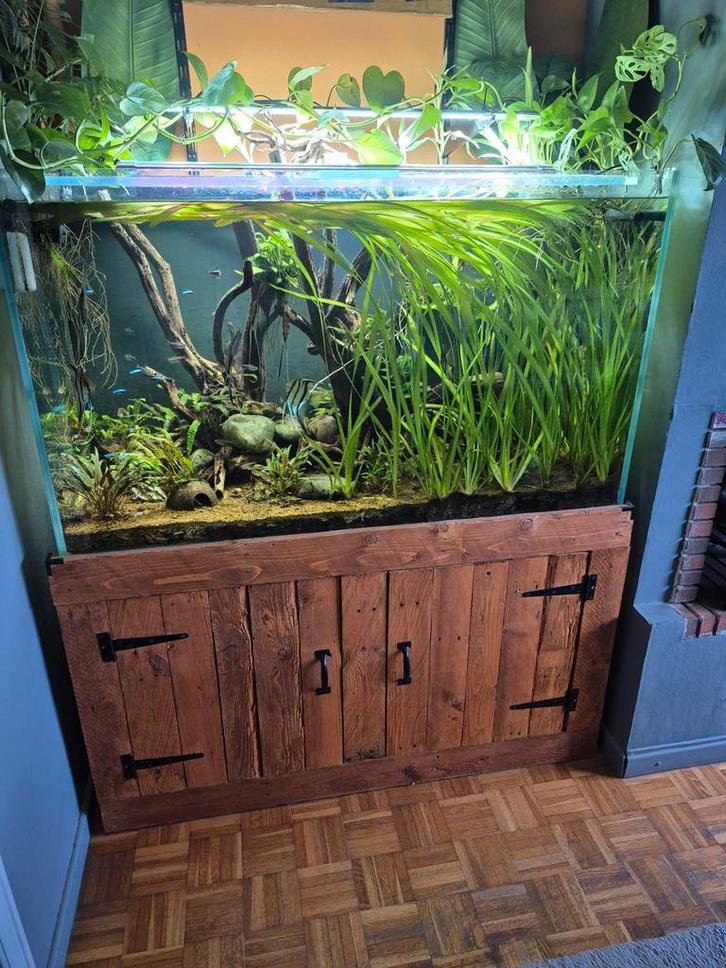 Defish aquarium 420 liter, Dieren en Toebehoren, Vissen | Aquaria en Toebehoren, Ophalen