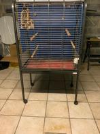 Papegaaienkooi, Dieren en Toebehoren, Ophalen, Gebruikt
