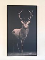 Schilderij/afbeelding van hert, Ophalen, Zo goed als nieuw
