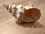 zeeslak, Maison & Meubles, Accessoires pour la Maison | Autre, Enlèvement, Utilisé