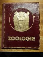 Zoologie Kwatta album vintage verzamelalbum, Antiek en Kunst, Antiek | Boeken en Manuscripten, Ophalen of Verzenden