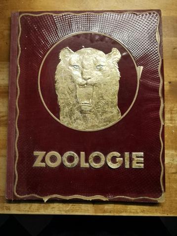 Zoologie Kwatta album vintage verzamelalbum beschikbaar voor biedingen